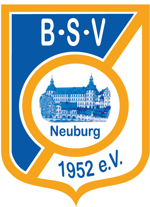 bsv logo eps