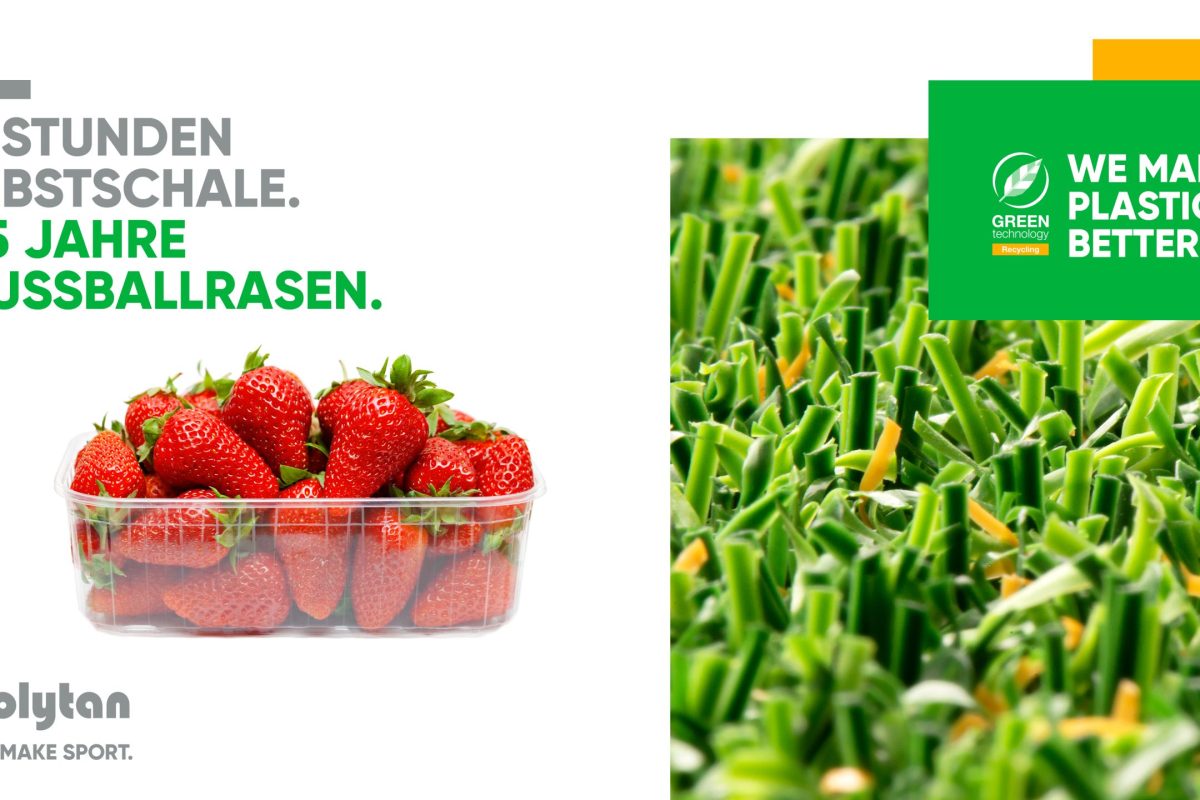 Recycling Visual Erdbeere